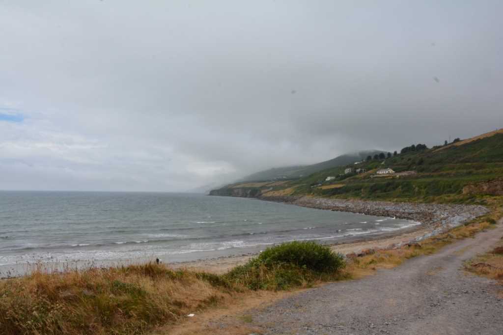 DSC_5350Mittel_.JPG